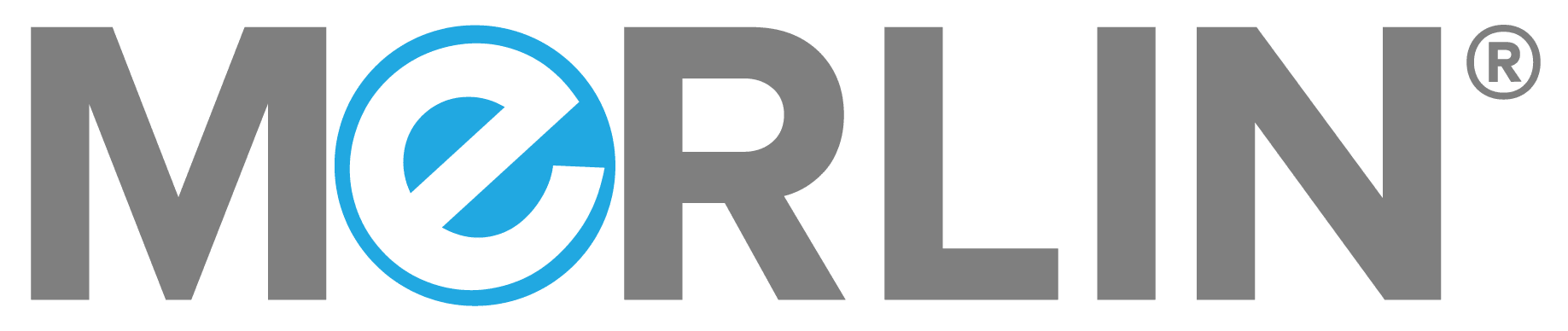 MeRLIN Logo