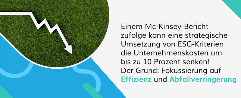 Einem Mc-Kinsey-Bericht zufolge kann eine strategische Umsetzung von ESG-Kriterien die Unternehmenskosten um bis zu 10 Prozent senken! Der Grund: Fokussierung auf Effizienz und Abfallverringerung.