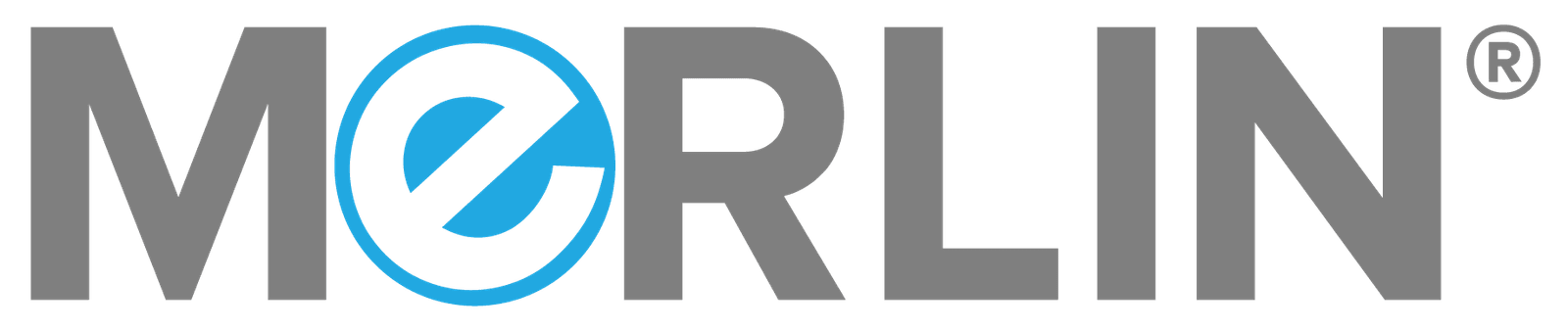 MeRLIN Logo