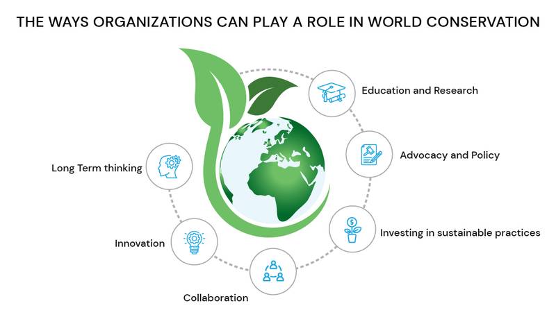 Ways Organisation can play a role in World Conservation